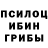 Псилоцибиновые грибы GOLDEN TEACHER Cemen Cemenu4