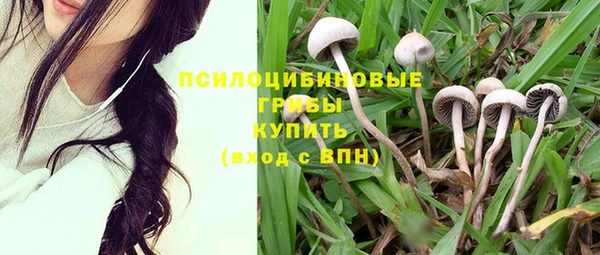 2c-b Балахна