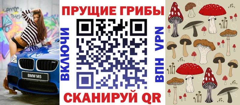 Купить закладки  Белокуриха  Псилоцибиновые грибы прущие грибы 